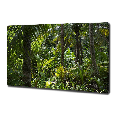 Quadro stampa su tela Foresta tropicale