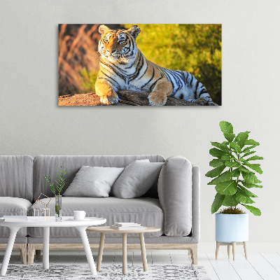 Quadro stampa su tela Ritratto di una tigre