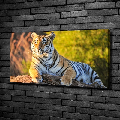Quadro stampa su tela Ritratto di una tigre