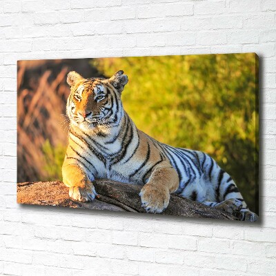 Quadro stampa su tela Ritratto di una tigre