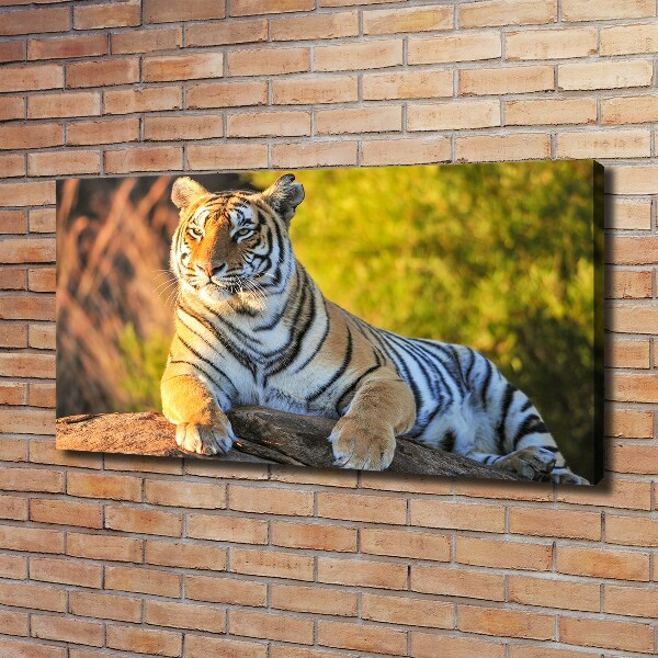 Quadro stampa su tela Ritratto di una tigre