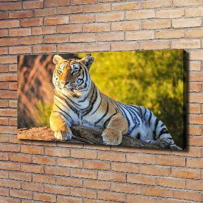 Quadro stampa su tela Ritratto di una tigre
