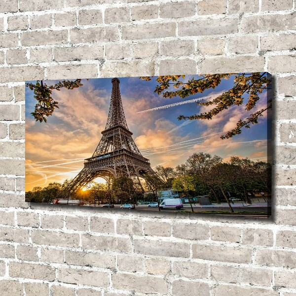 Quadro su tela Torre Eiffel Parigi