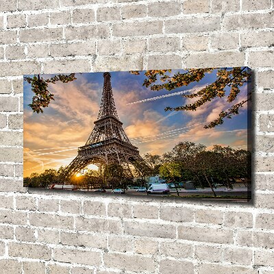 Quadro su tela Torre Eiffel Parigi