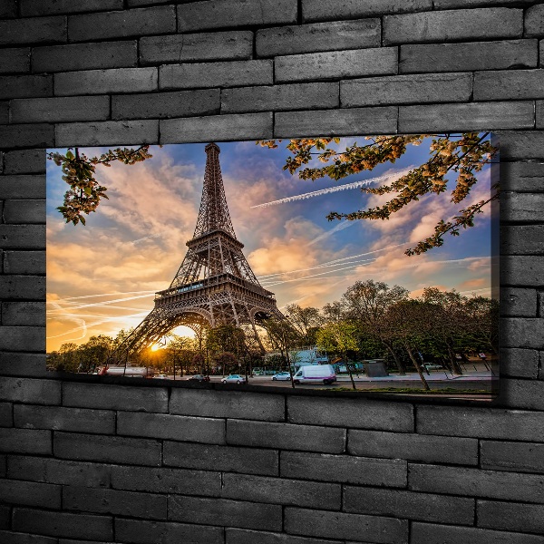 Quadro su tela Torre Eiffel Parigi