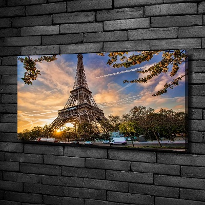 Quadro su tela Torre Eiffel Parigi