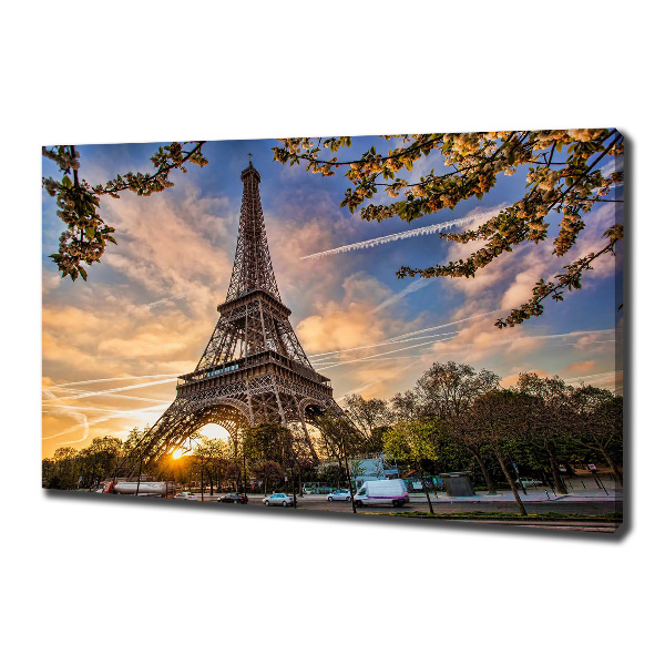 Quadro su tela Torre Eiffel Parigi