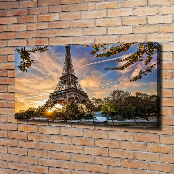 Quadro su tela Torre Eiffel Parigi