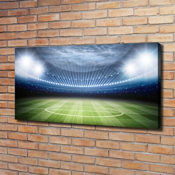 Quadro stampa su tela Stadio