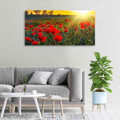 Foto quadro su tela Campo di papaveri