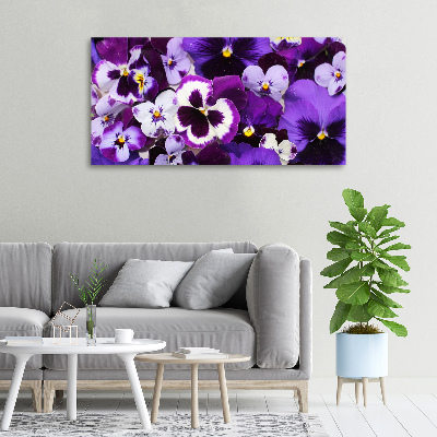 Foto quadro su tela Viole del pensiero