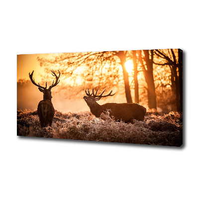 Quadro su tela Alba di cervo