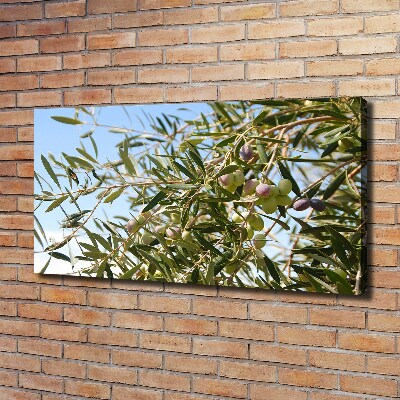 Quadro stampa su tela Olivo