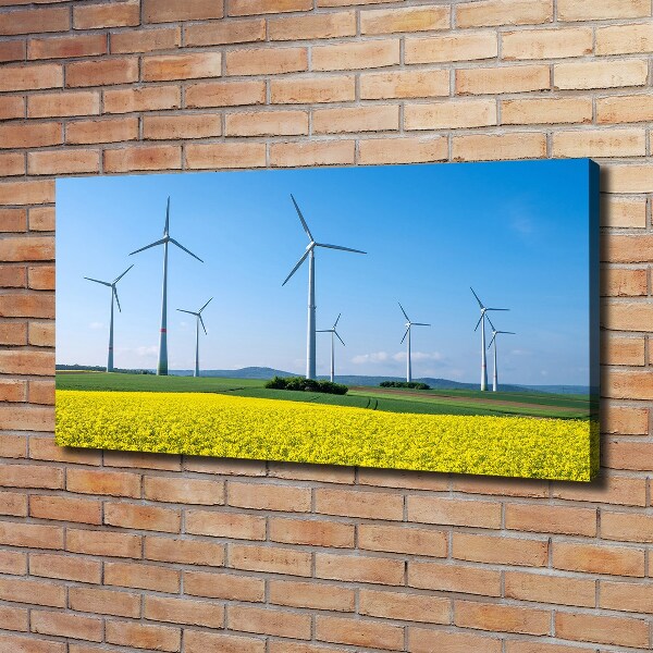 Foto quadro su tela Mulini a vento nel campo