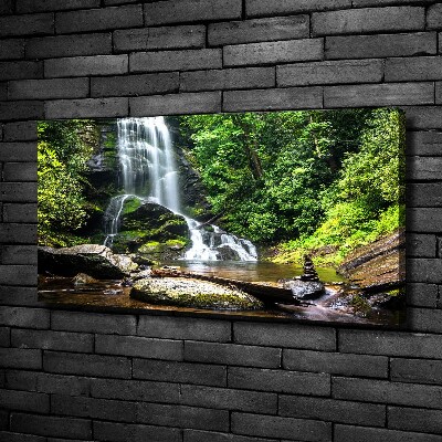 Quadro su tela Cascata nella foresta
