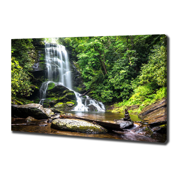 Quadro su tela Cascata nella foresta