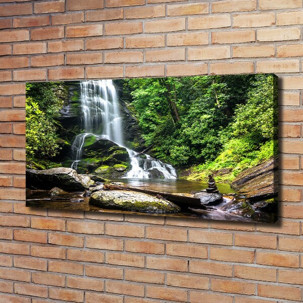 Quadro su tela Cascata nella foresta