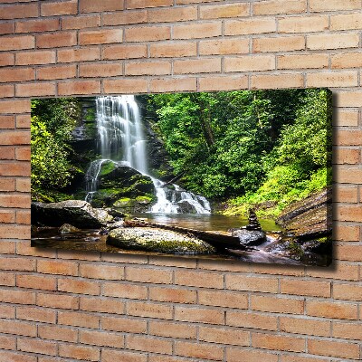 Quadro su tela Cascata nella foresta