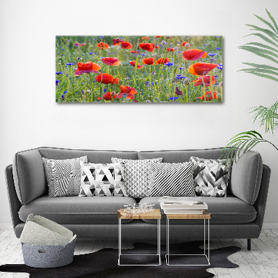 Quadro stampa su tela Fiori selvatici