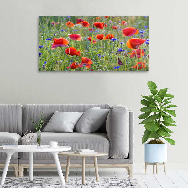 Quadro stampa su tela Fiori selvatici