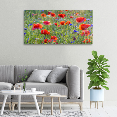 Quadro stampa su tela Fiori selvatici