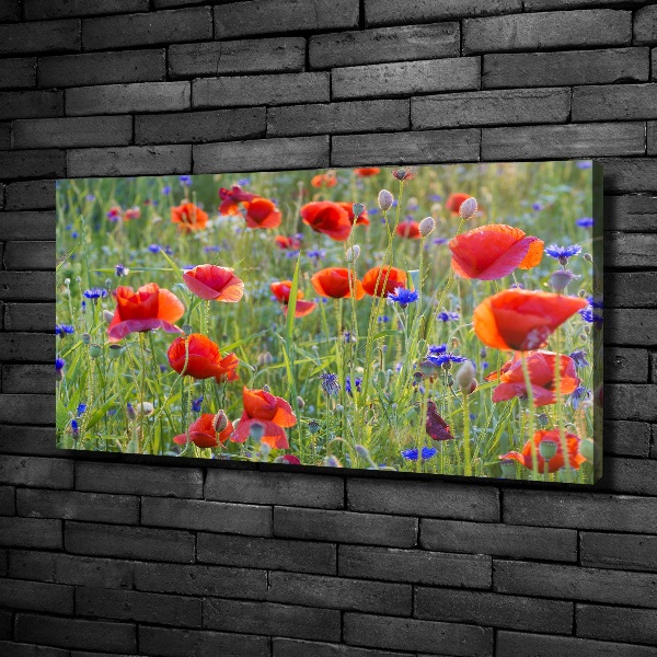 Quadro stampa su tela Fiori selvatici