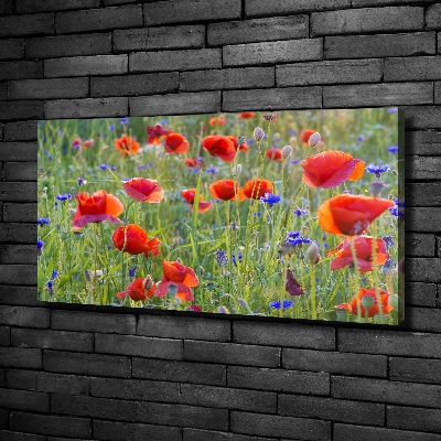 Quadro stampa su tela Fiori selvatici