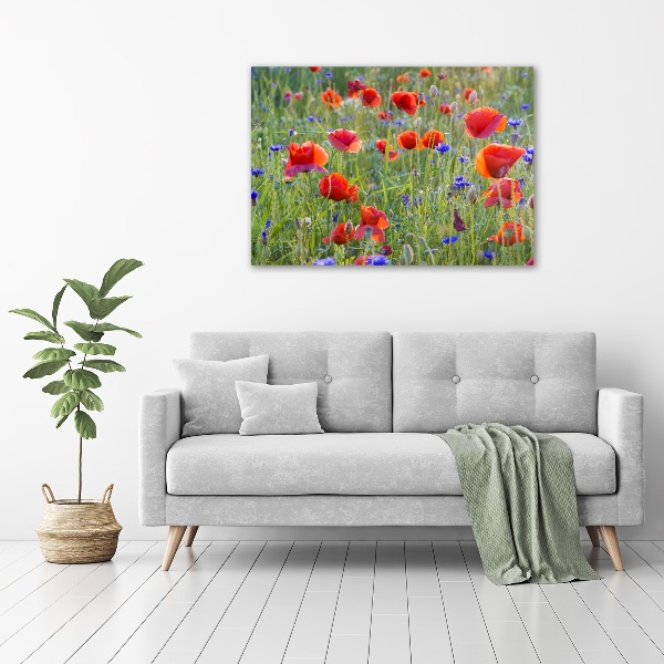 Quadro stampa su tela Fiori selvatici