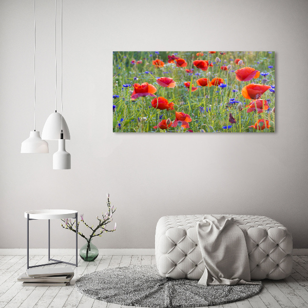 Quadro stampa su tela Fiori selvatici