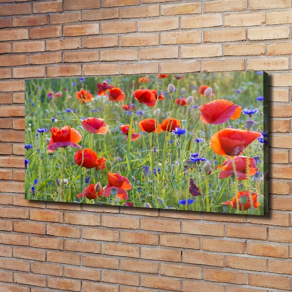 Quadro stampa su tela Fiori selvatici