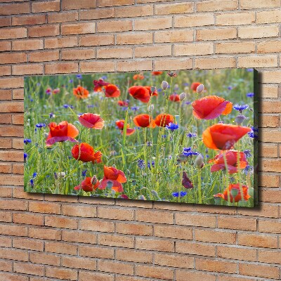 Quadro stampa su tela Fiori selvatici