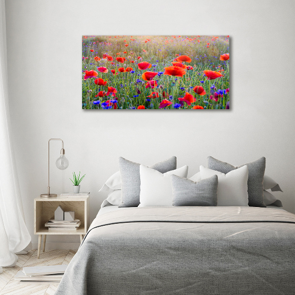 Quadro su tela Fiori selvatici