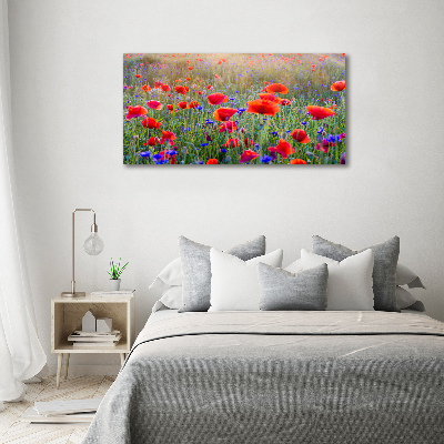 Quadro su tela Fiori selvatici