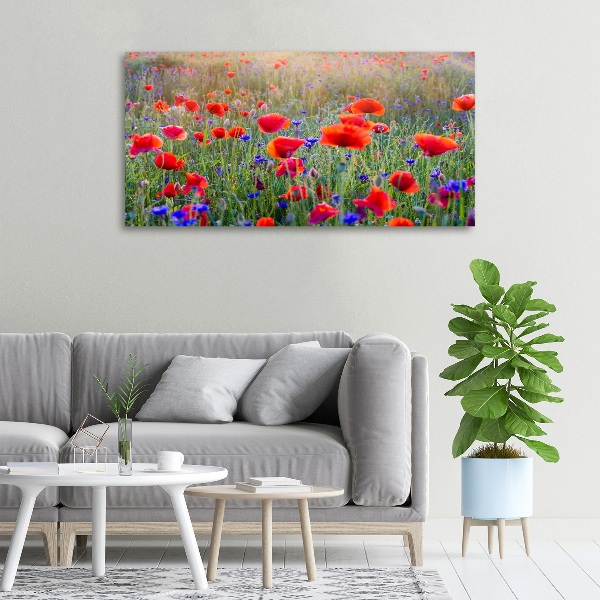 Quadro su tela Fiori selvatici