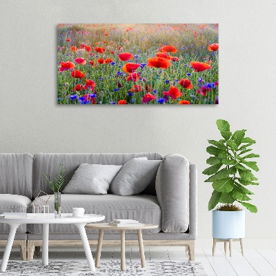 Quadro su tela Fiori selvatici