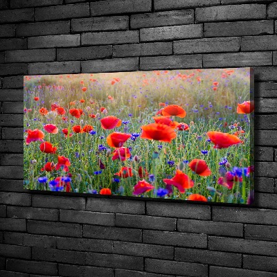 Quadro su tela Fiori selvatici