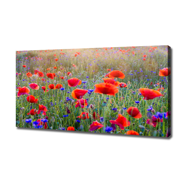 Quadro su tela Fiori selvatici