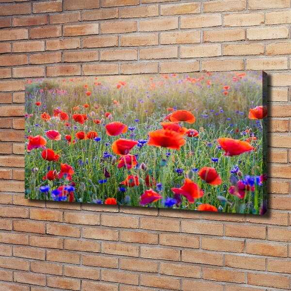 Quadro su tela Fiori selvatici