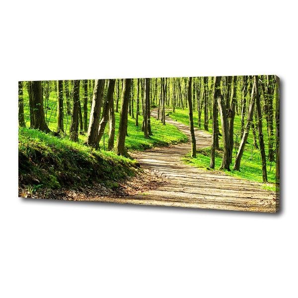 Quadro su tela Sentiero nella foresta