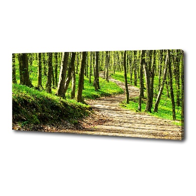 Quadro su tela Sentiero nella foresta