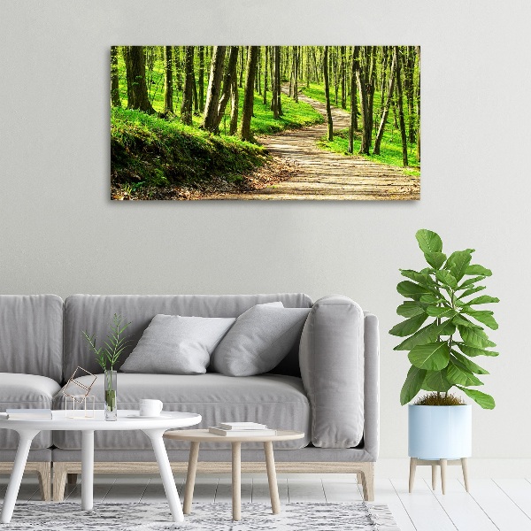Quadro su tela Sentiero nella foresta