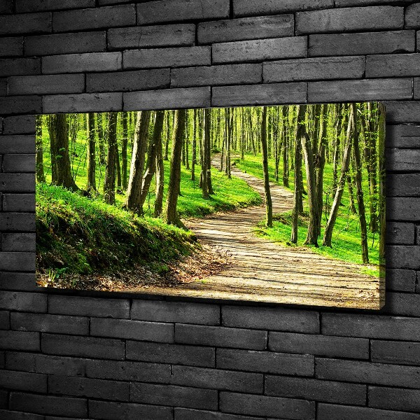 Quadro su tela Sentiero nella foresta