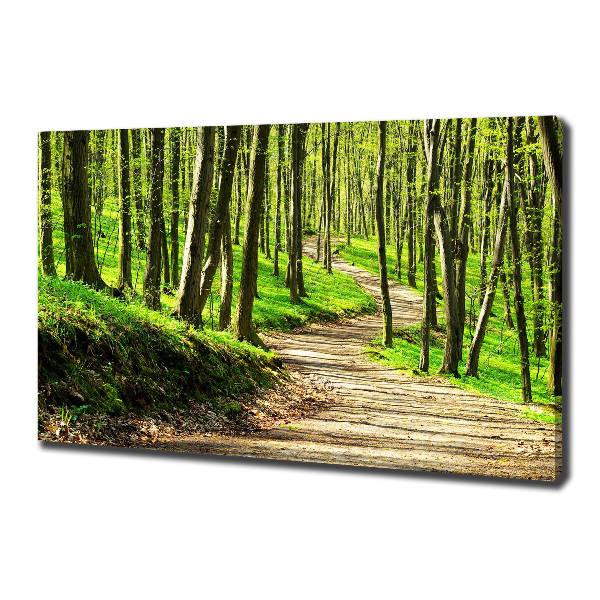 Quadro su tela Sentiero nella foresta
