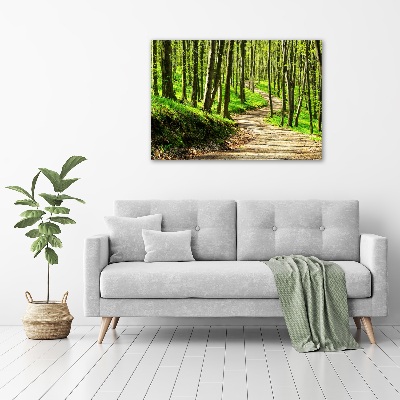 Quadro su tela Sentiero nella foresta