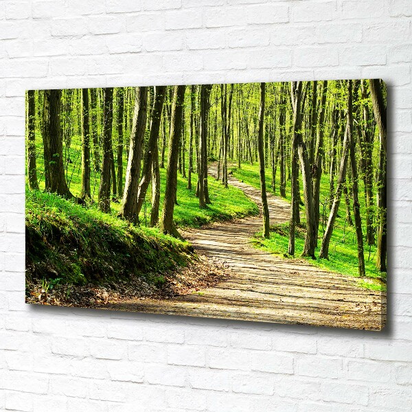 Quadro su tela Sentiero nella foresta