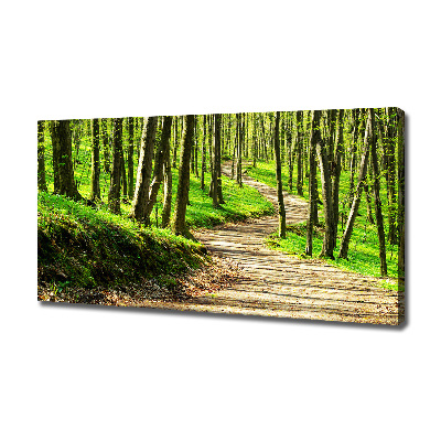 Quadro su tela Sentiero nella foresta
