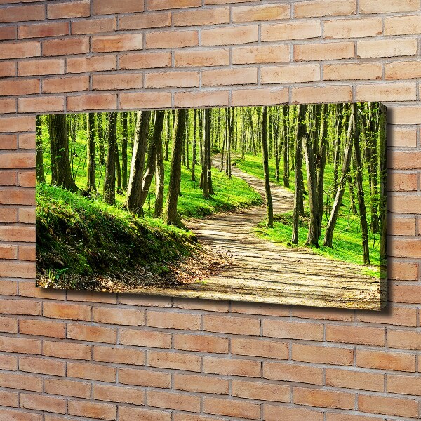 Quadro su tela Sentiero nella foresta