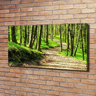 Quadro su tela Sentiero nella foresta