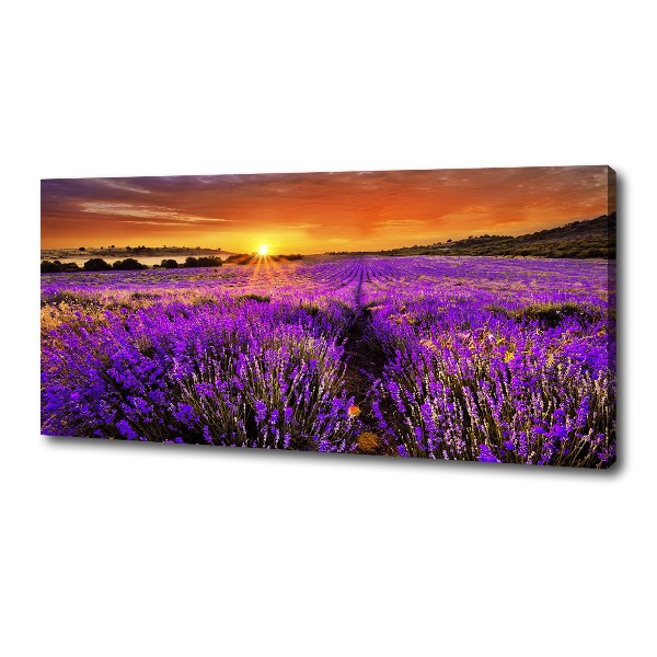 Foto quadro su tela Campo di lavanda