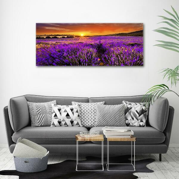 Foto quadro su tela Campo di lavanda